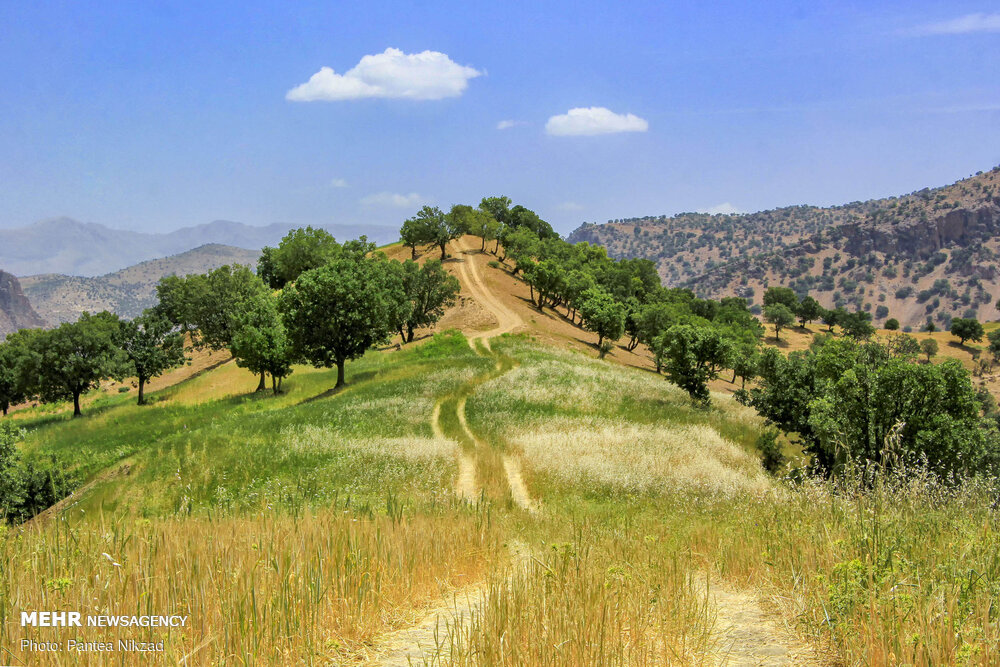 طبیعت بکر «اردل و مشایخ» چهارمحال و بختیاری