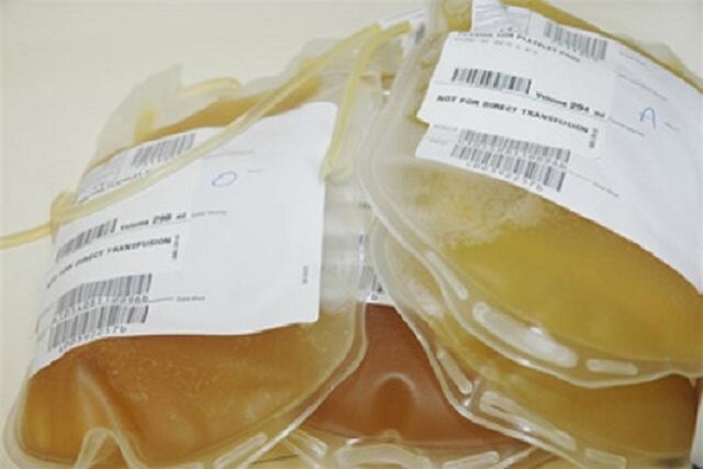 نیاز کلانشهرها به پلاسمای بهبود یافتگان کرونا/ درخواست اهدای خون همه گروه‌های خونی