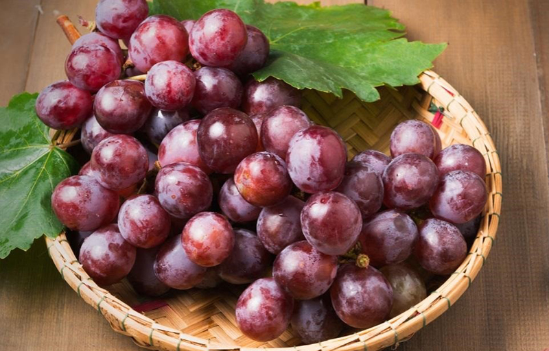 ۶ خوراکيِ ضد آفتاب برای انواع پوست