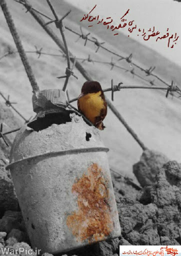 داستانک/ این آب به دردم نمى‌خورد!