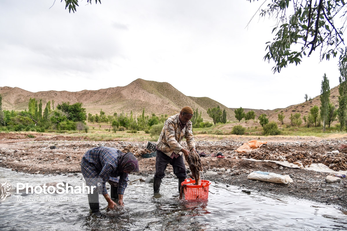 عکس/ روستای خوش آب و هوای حاجی بیگی