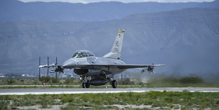 گنجشک ‌آمریکایی در مکزیک سقوط کرد