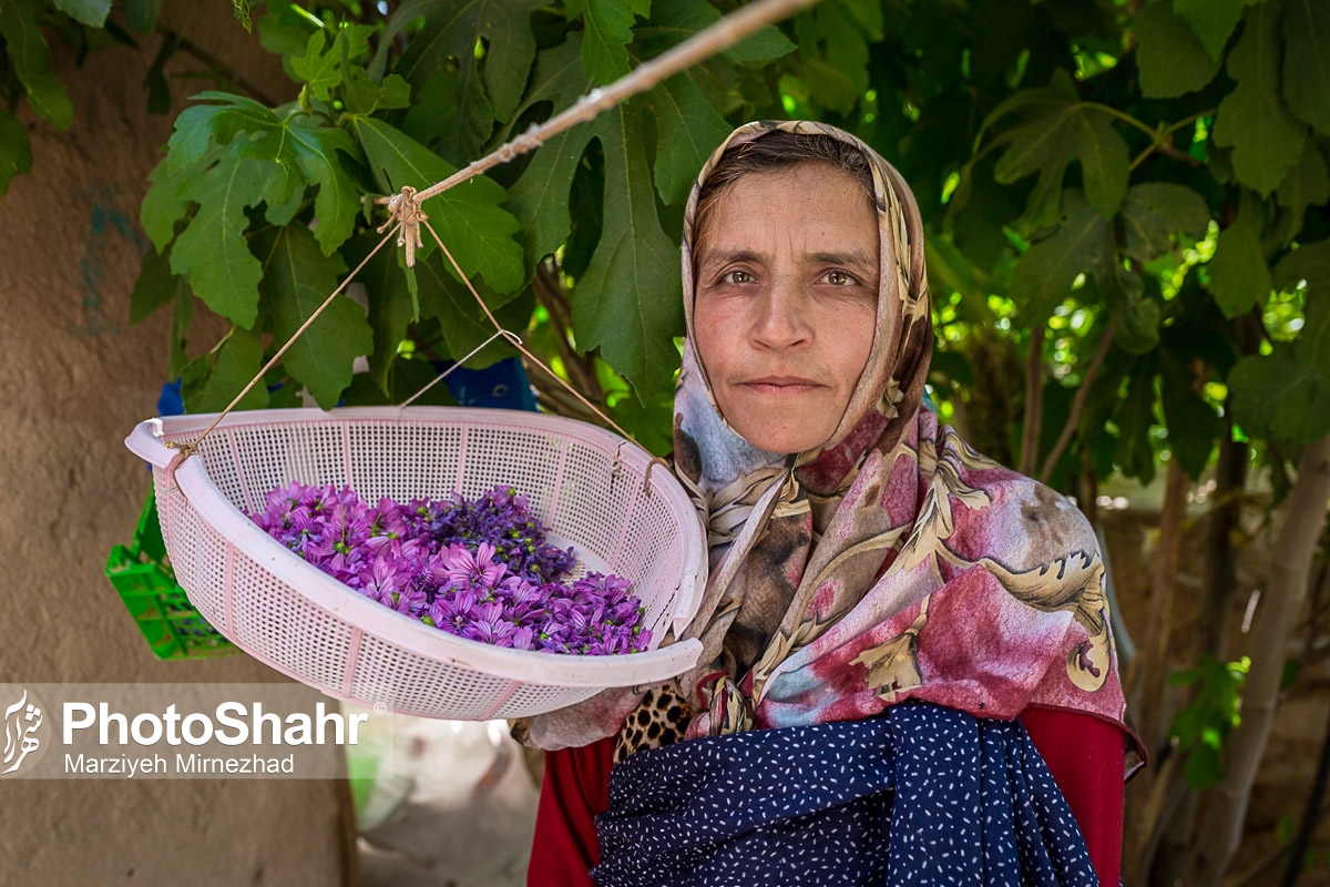 عکس/ روستای خوش آب و هوای حاجی بیگی