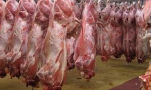 تولید گوشت قرمز به ۳۰ هزار تن رسید