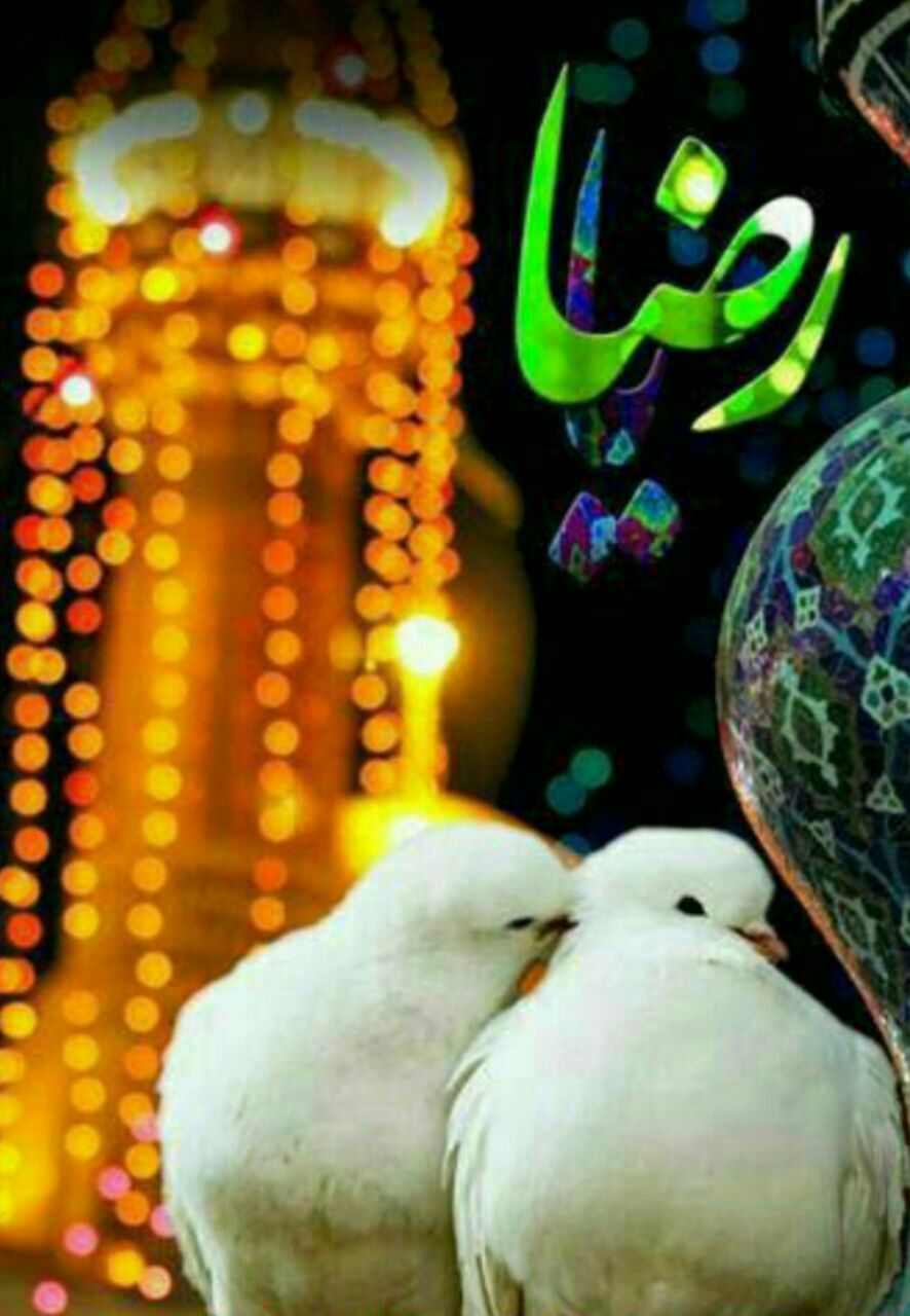 زمزمه صلوات خاصه امام رضا علیه السلام