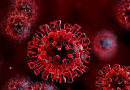 اینفوگرافیک/ جدیدترین وضعیت استان‌های درگیر با ویروس کرونا