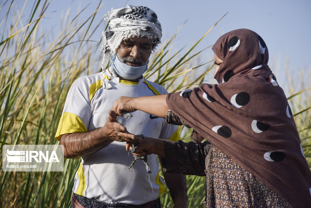 عکس/ خولک بافی در سیستان