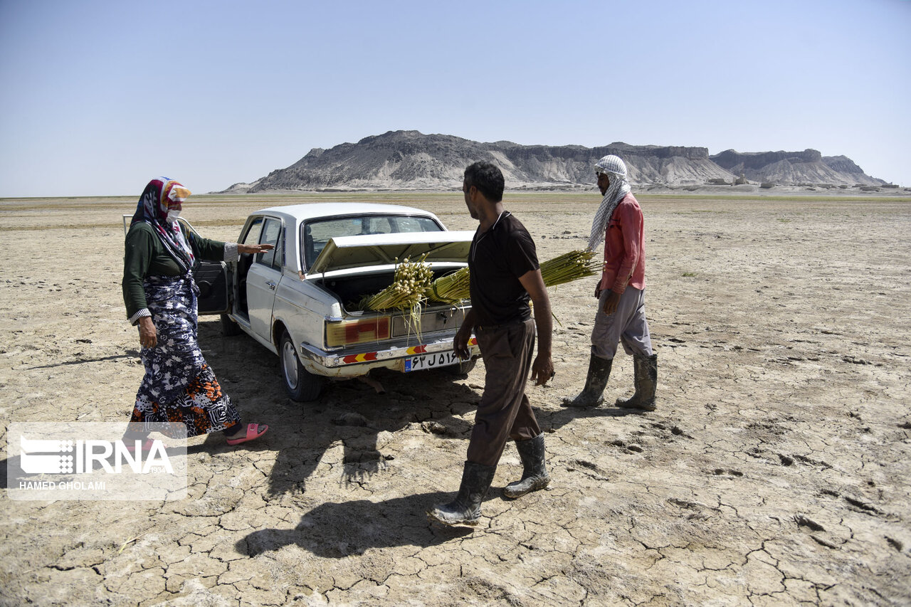 عکس/ خولک بافی در سیستان