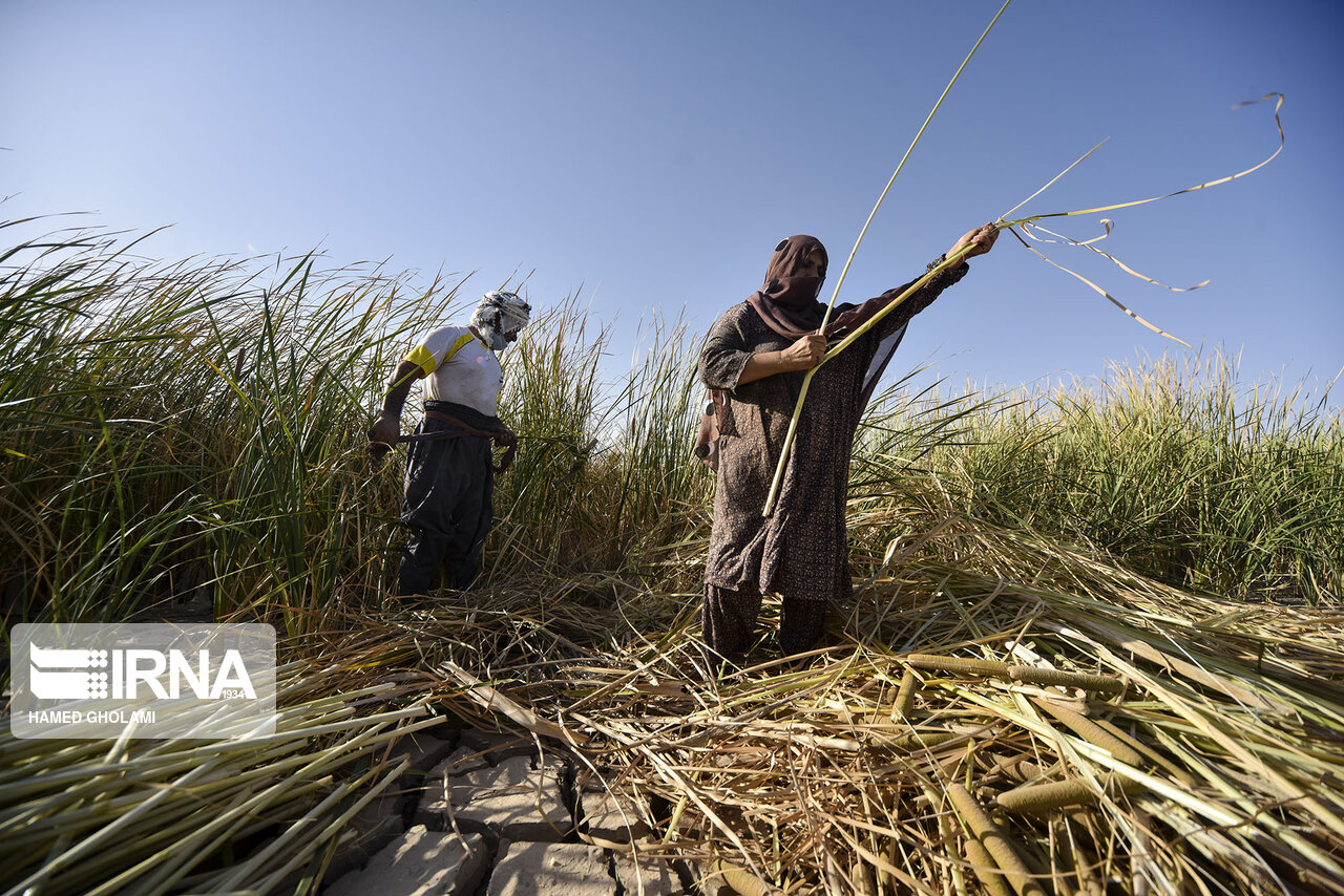 عکس/ خولک بافی در سیستان