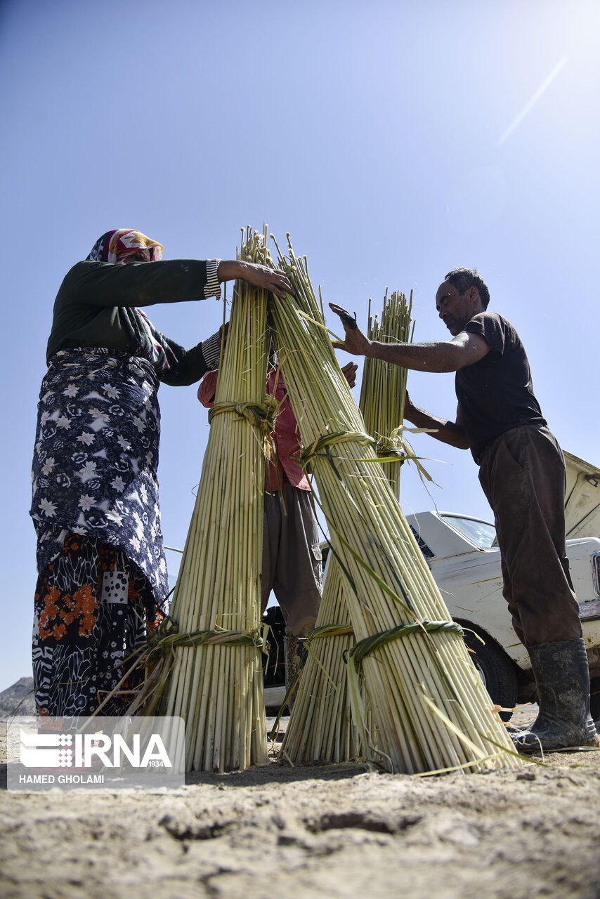 عکس/ خولک بافی در سیستان