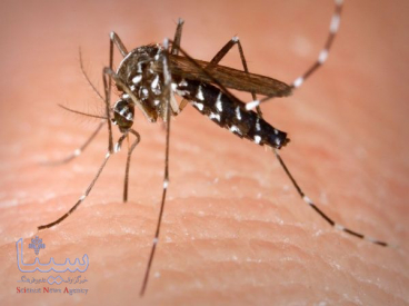 شیوع ویروسی جدید این بار در کامبوج؛ همهگیری چیکونگونیا رسما اعلام شد