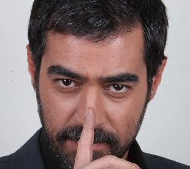 فرصتهای ازدسترفته «شهاب»