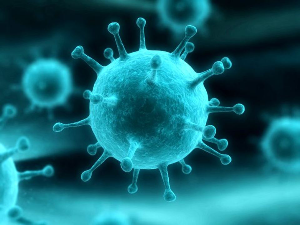 آمار ابتلا به کرونا در قم تا ۱۳ مردادماه؛ حال ۶۵ بیمار وخیم است