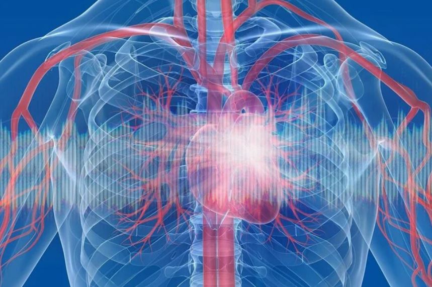تشخیص آسیب قلبی در بیشتر بیماران بهبودیافته از کووید 19