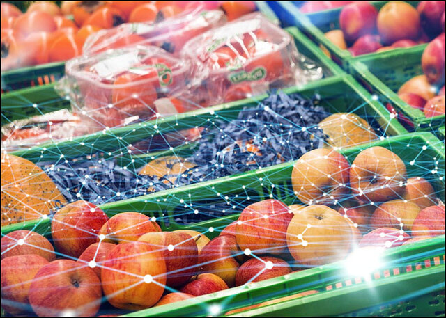 بلاک‌چین و اینترنت اشیا، کلید امنیت غذایی جهان