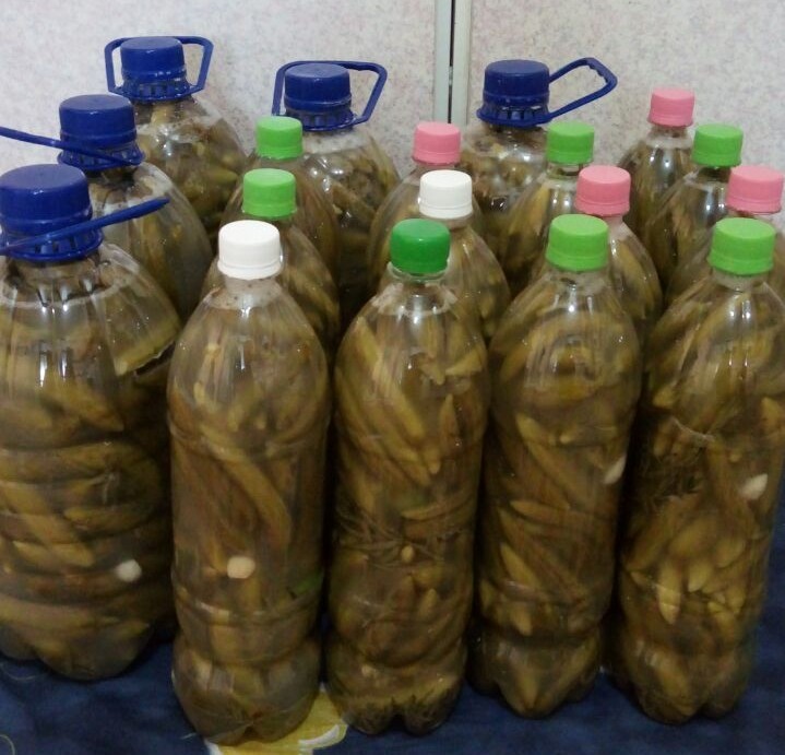 از شما/خيار شور ترد و خوشمزه 