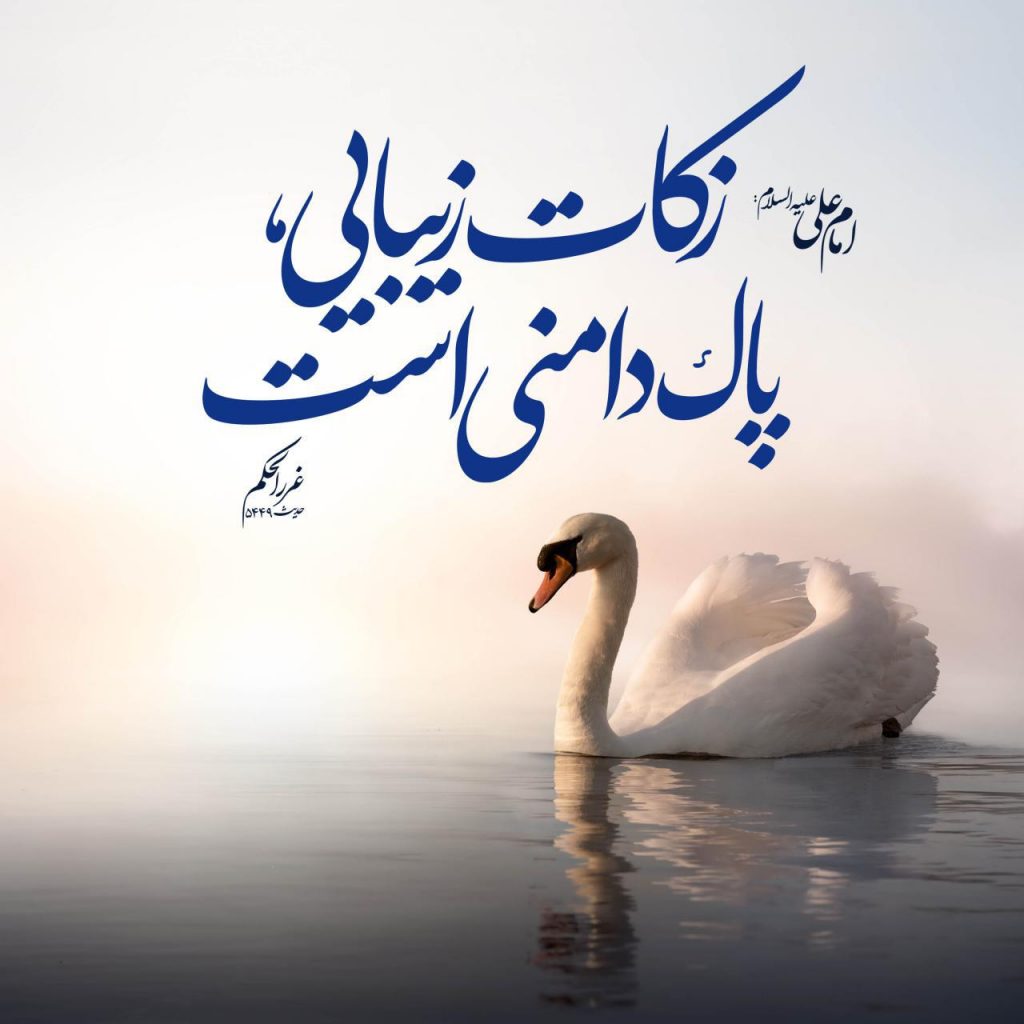 زکات زیبایی از منظر امیرالمومنین (ع)