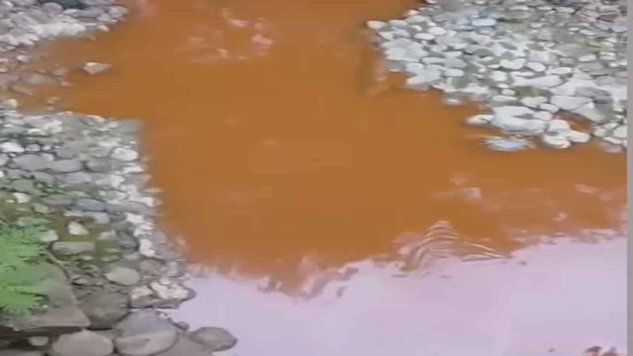تلف شدن ۲۴ هزار قطعه ماهی در سوادکوه