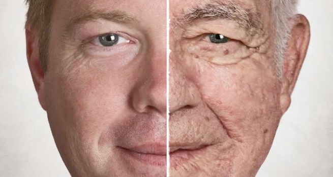  ایده‌ی کشف آنزیم ضدپیری برای افزایش طول عمر