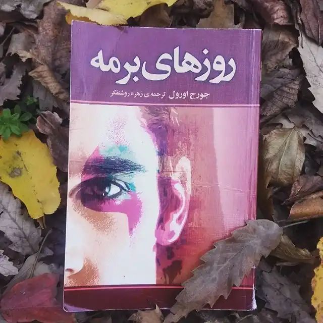 دو خط کتاب/ وقتی حتی عیب‌های طرف را هم خوبی می‌بینیم!