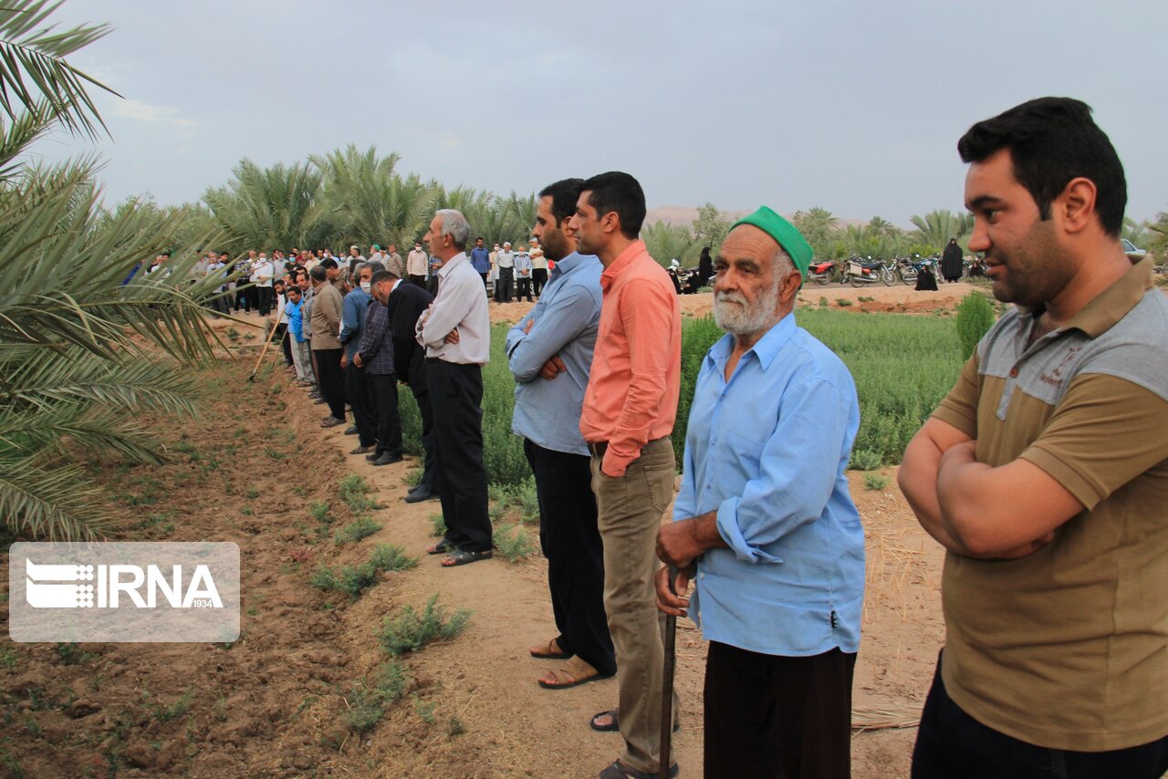 عکس/ آیین آب به بذر شلغم در خور و بیابانک