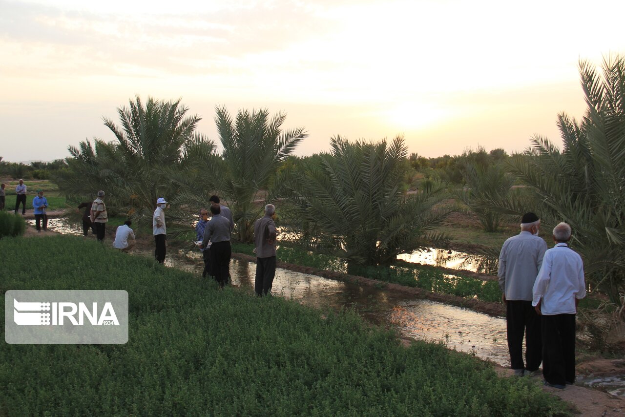 عکس/ آیین آب به بذر شلغم در خور و بیابانک