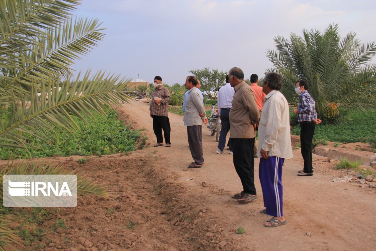 عکس/ آیین آب به بذر شلغم در خور و بیابانک