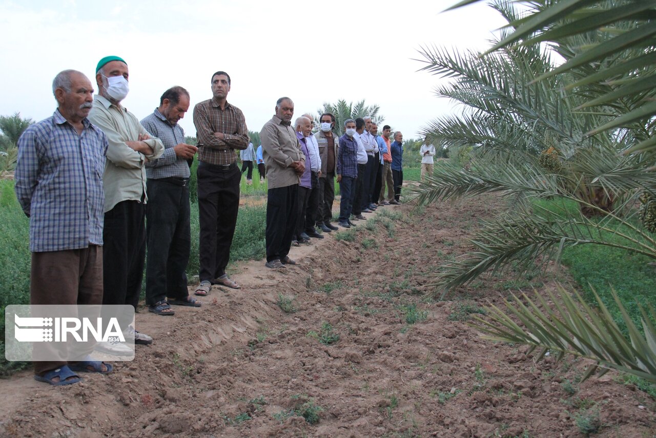 عکس/ آیین آب به بذر شلغم در خور و بیابانک