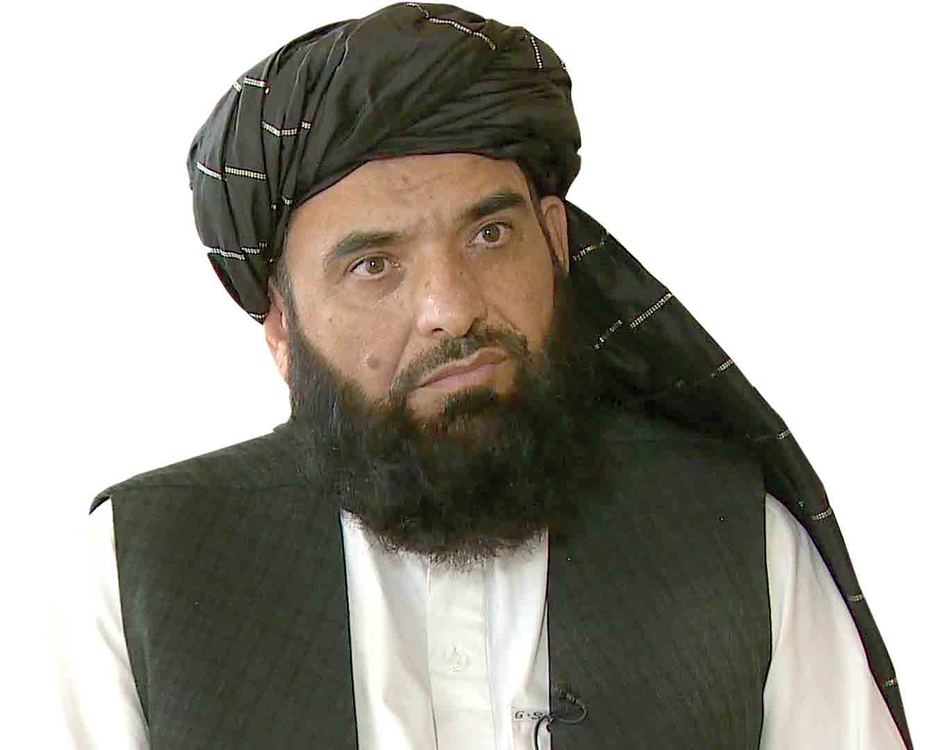سهیل شاهین: طالبان از موضع پیروز جنگ مذاکره ‌می‌کند