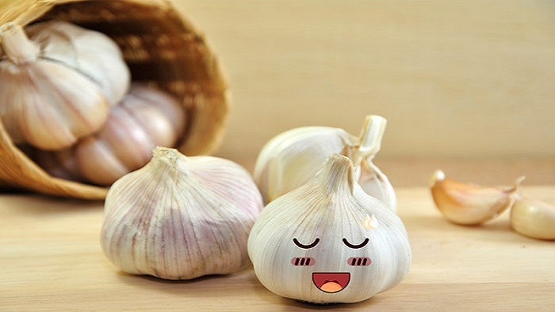 ۱۰ خاصیت معجزهآسای سیر برای کودکان