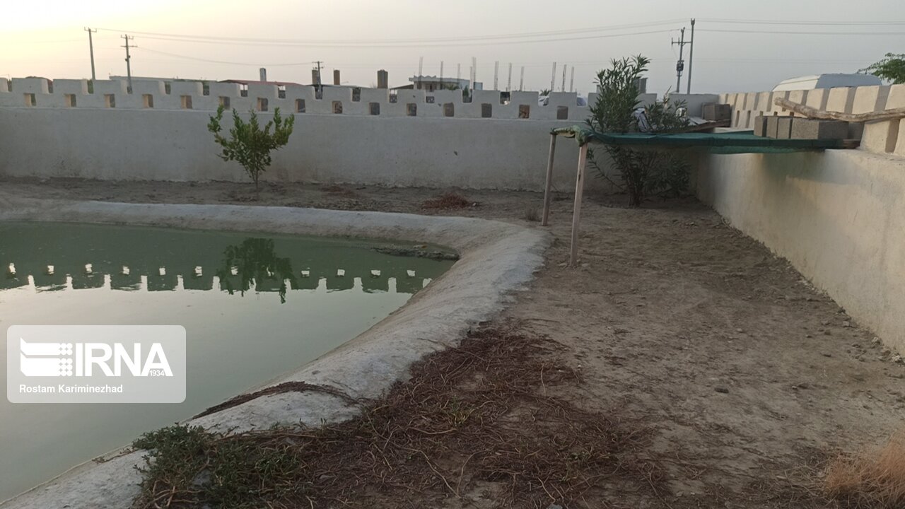 عکس/ مزرعه پرورش گاندو در چابهار
