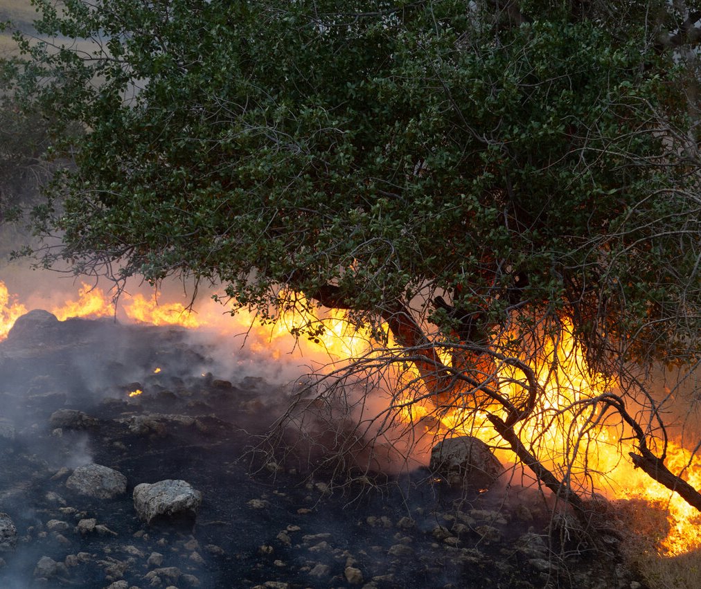 آتش دست از سر کوه گردکی باغملک برنمی‌دارد