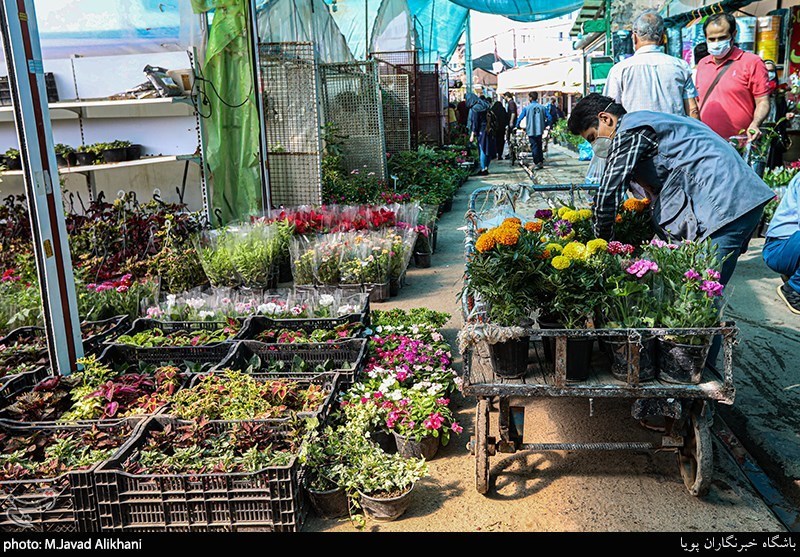 بازار گل تهران در روزهای کرونای