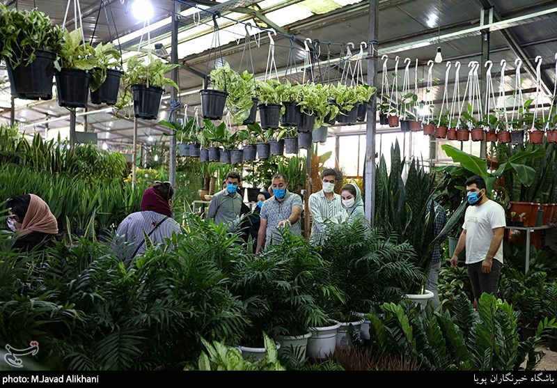 بازار گل تهران در روزهای کرونای