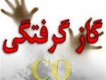 مسمومیت ۱۴ نفر با گاز مونوکسید کربن در چهارمحال و بختیاری