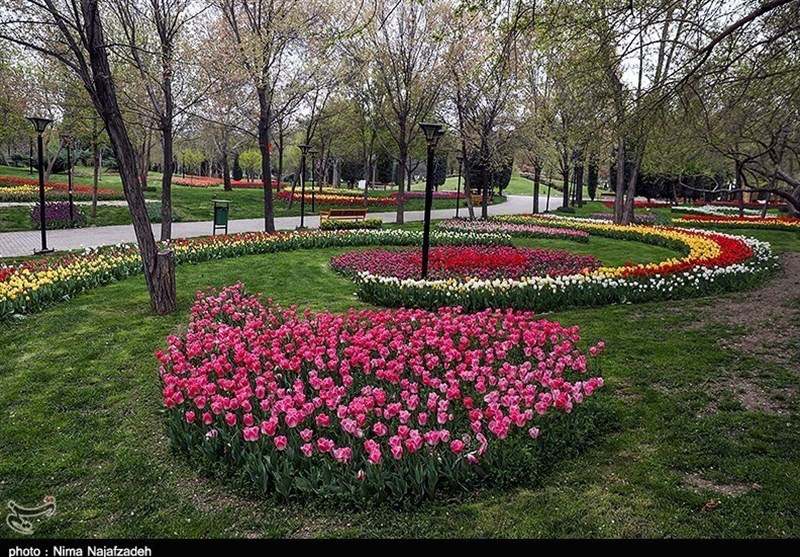 بانوان کرمانشاهی، نوروز ۱۴۰۰ صاحب بوستان اختصاصی می‌شوند