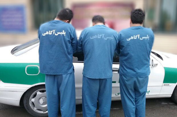 عاملان سلب آسایش عمومی شهروندان اراکی دستگیر شدند
