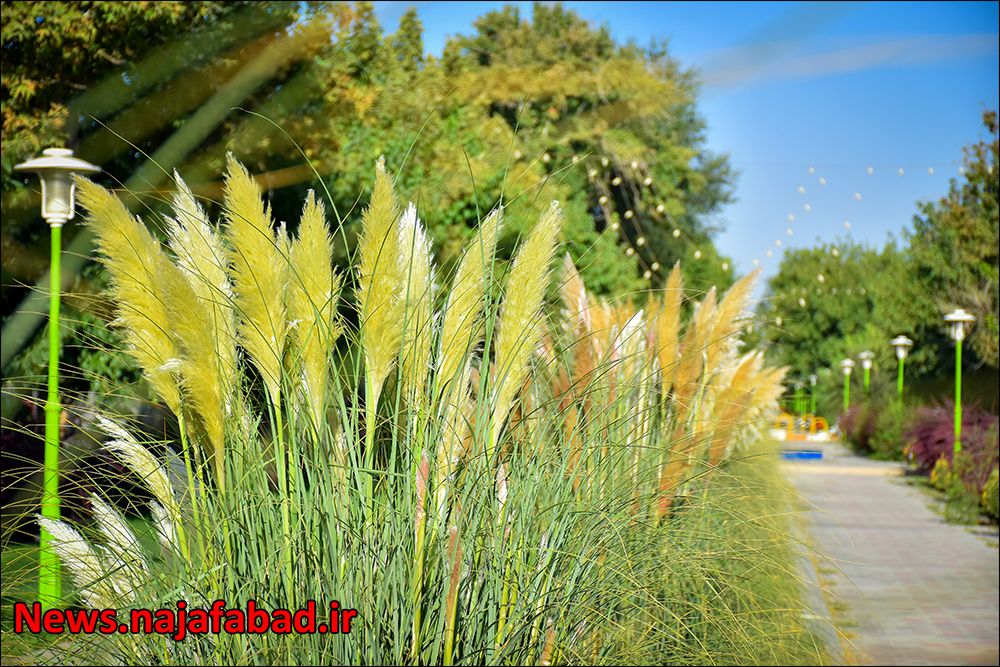 عکس/ زیبایی‌های چهار باغ نجف آباد