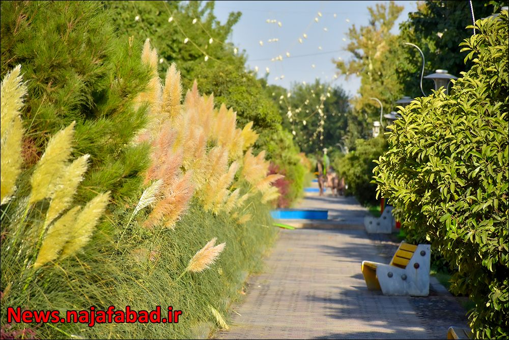 عکس/ زیبایی‌های چهار باغ نجف آباد