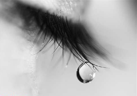 اشک چشمها و نزول رحمت خدا بر جامعه