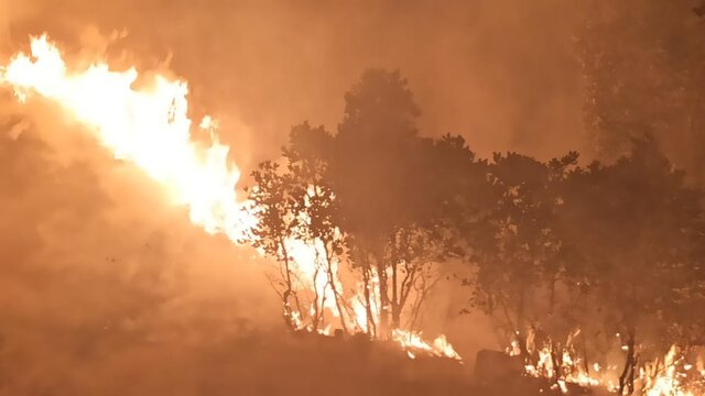 مهار ۲ آتش سوزی در جنگل‌ها و مراتع بویراحمد