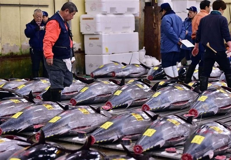 قیمت کنسرو ماهی تن ارزان می‌شود