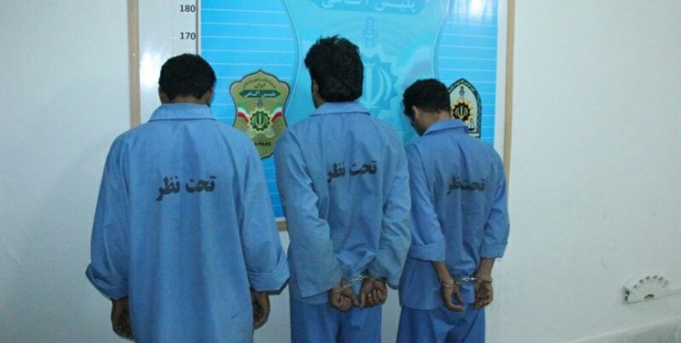 باند سارقان خانهباغها و اماکن خصوصی در مراغه متلاشی شد