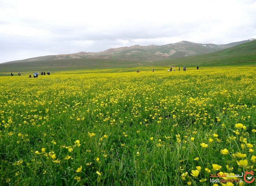 ماهار زنوز، بهشتی که در جهنم تابستان می توان دیدش!