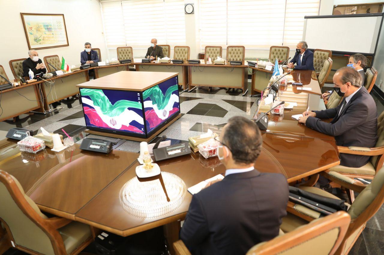 توضیحات کمالوندی درباره سفر گروسی به ایران