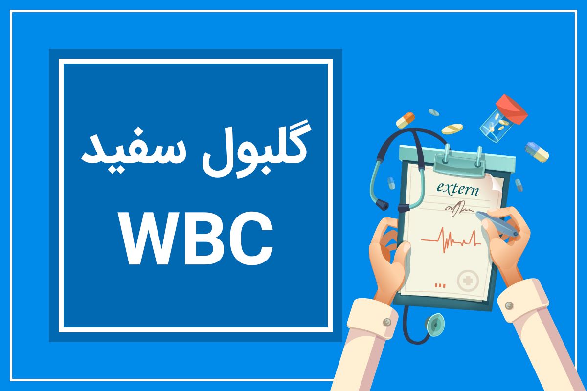 گلبولهای سفید یا Wbc در آزمایش خون نشان دهنده چیست؟