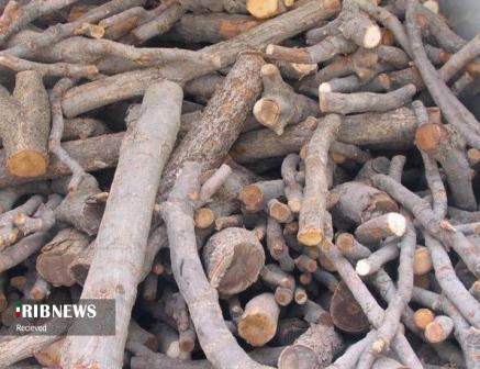 کشف بیش از ۱۰ تن چوب قاچاق