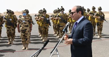 فراخوان برای اقدام ارتش مصر جهت عزل سیسی در شبکه‌های اجتماعی