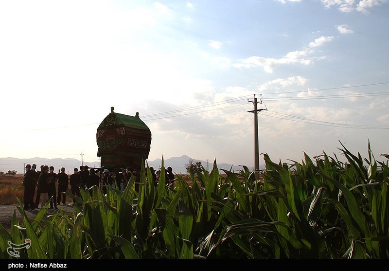 مراسم نخل گردانی و علم گردانی روستای مراداباد در اراک