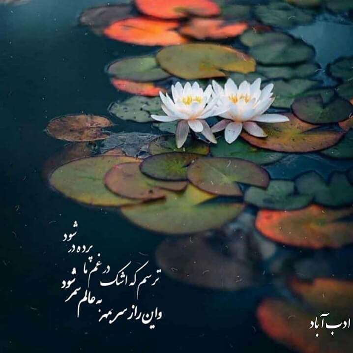 شاعرانه/ "یا رب مباد آن که گدا معتبر شود" از حافظ شیرازی